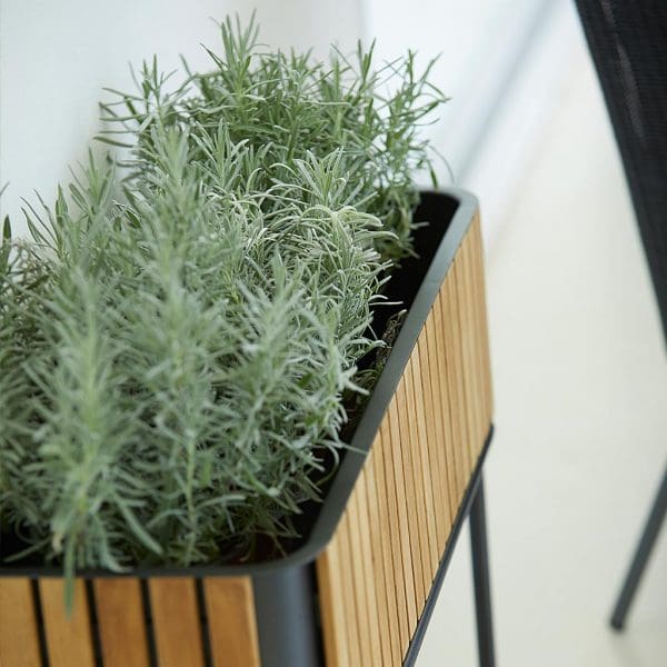 Image of Cane-line Combine raised planter planted with rosemary