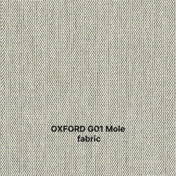 Image of swatch of Oxford Mole G01 fabric