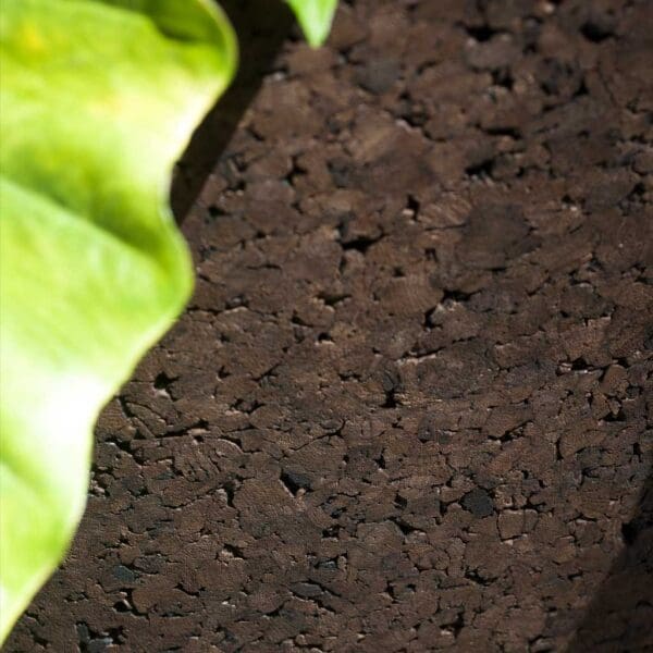 Image of detail of RODA Bush On brown cork plant pot and Colocasia leaf