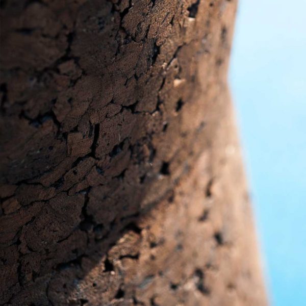 Macro image of RODA Bush On planter's brown cork structure
