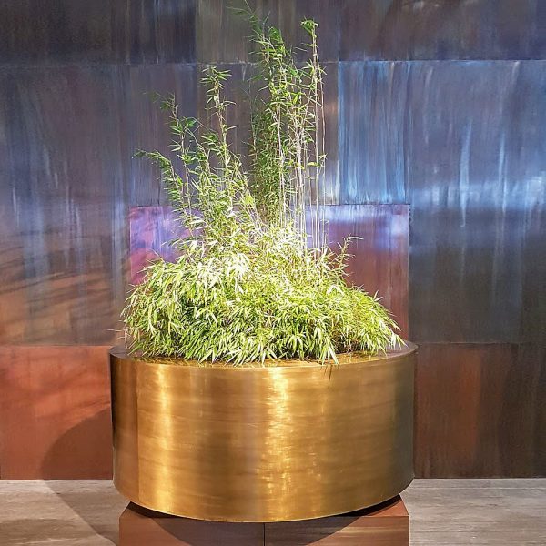 Image of Cuprum circular polished brass plant pot planted with delicate bamboo