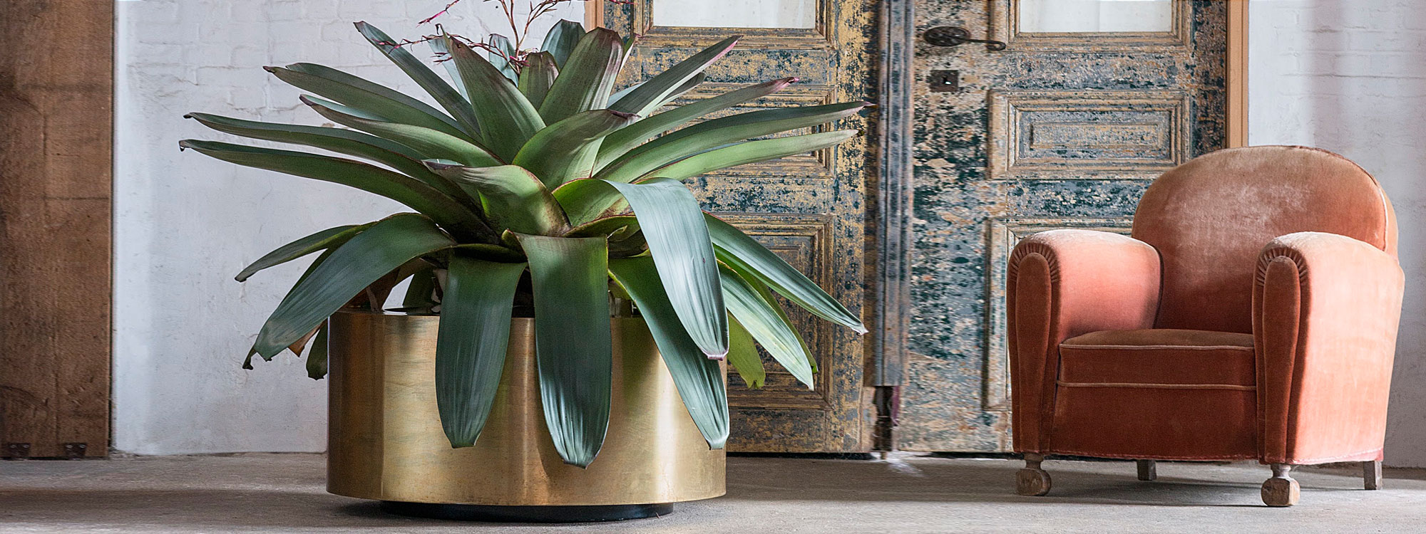 Interior image of large circular brass planter with polished golden finish, by Cuprum