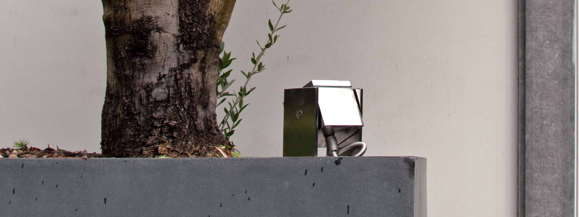 Image of Royal Botania Q-BIC minimalist adjustable garden spotlight in EP stainless steel, shown angled-up at olive tree