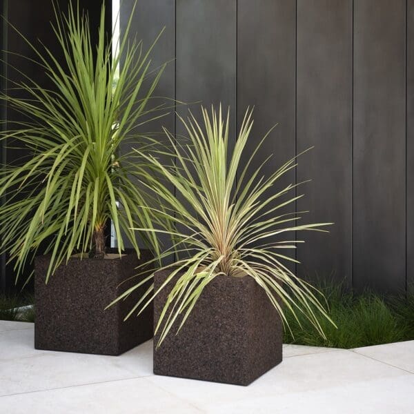 Image of RODA Cortica cork planters