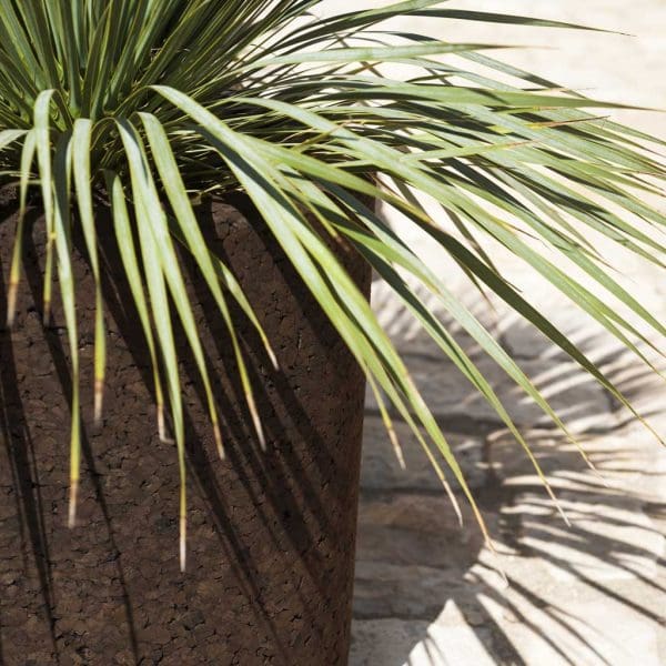 Image of RODA Cortica brown cork plant pot with Cordyline plant inside