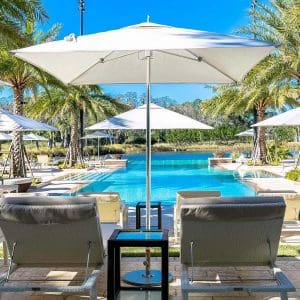 Image of white hotel parasols above sun loungers with azure waters of swimming pool and palm trees in the background