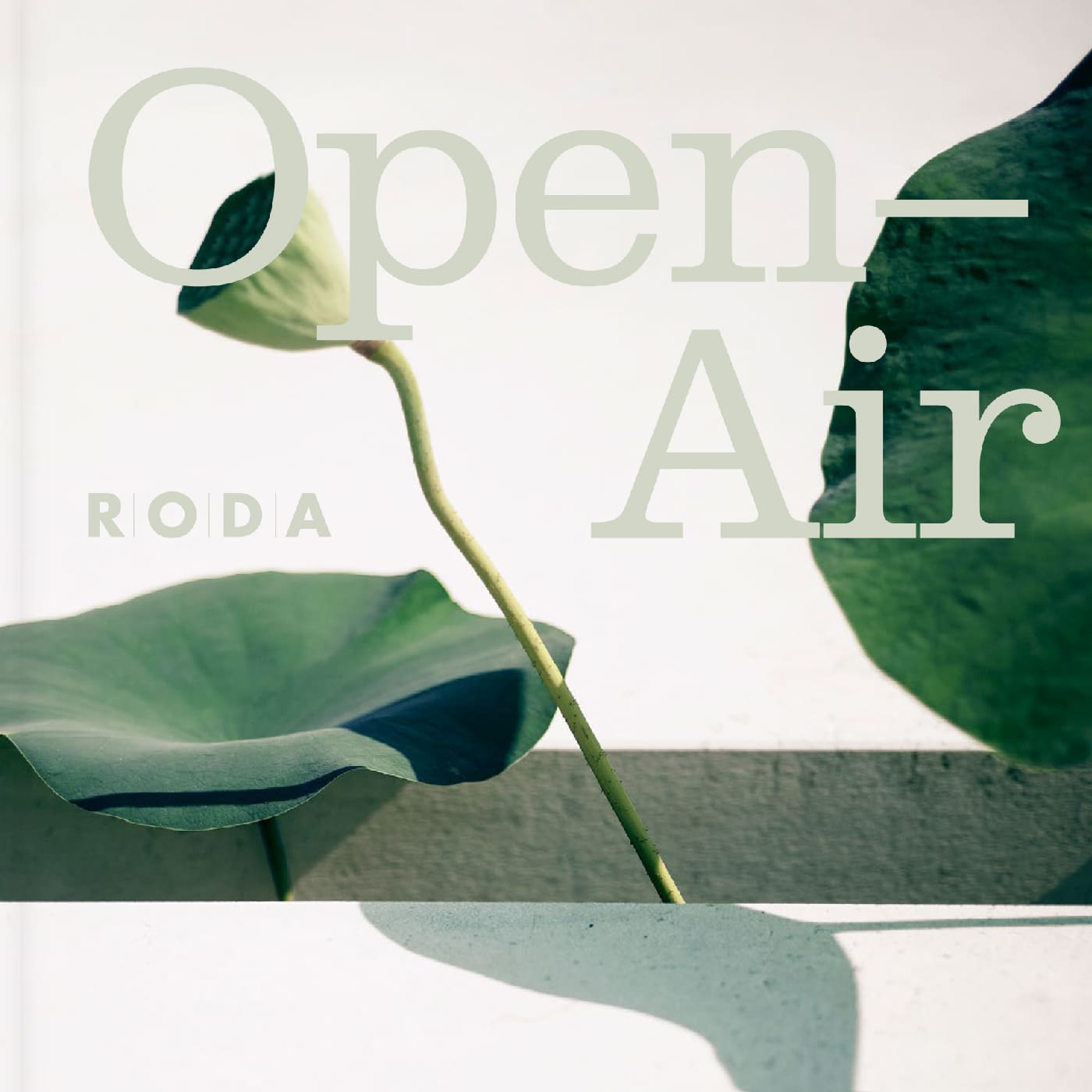 roda-cat-25-coverr