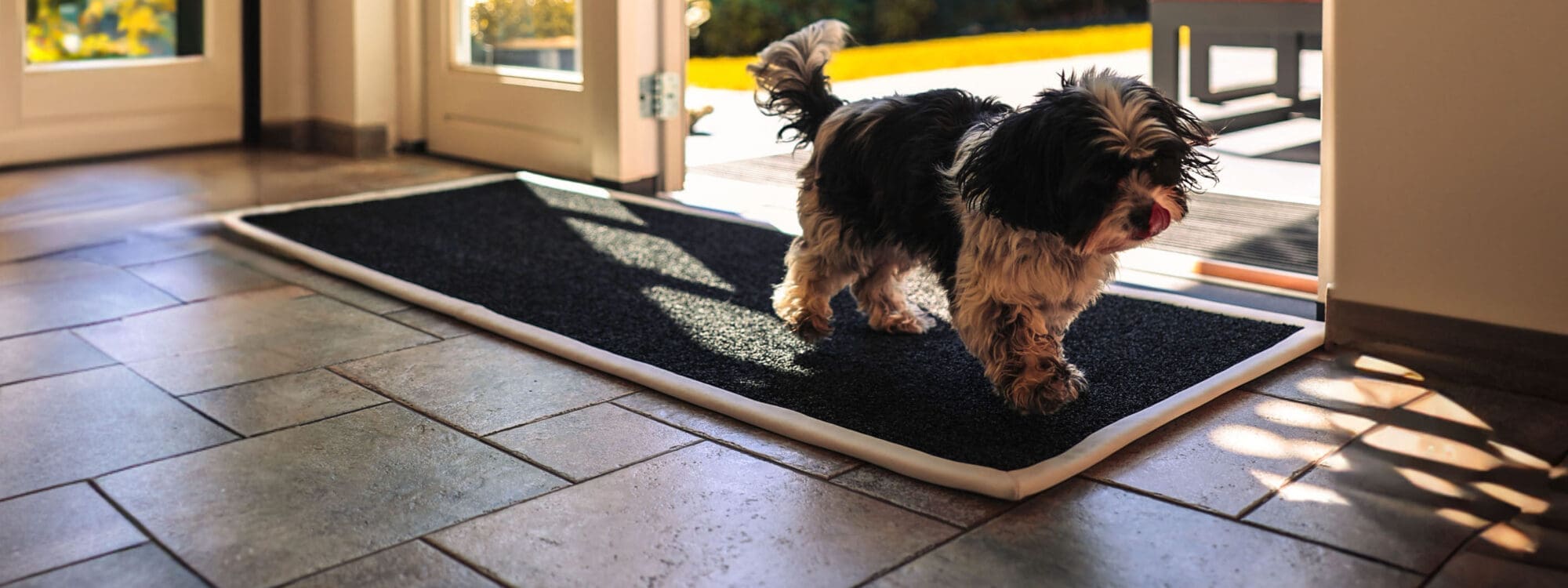 Image of dog wiping its paws on RiZZ indoor mat
